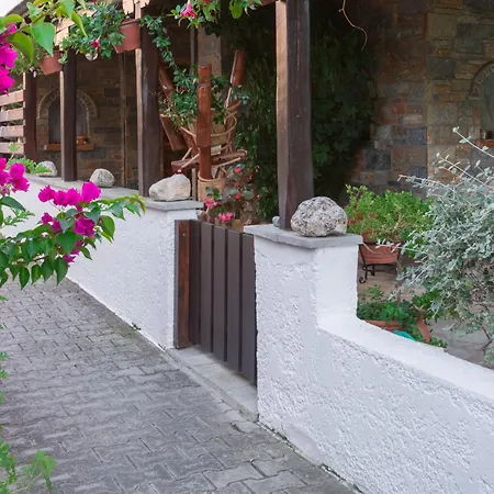 度假居 Begonia By The Sea 科罗皮