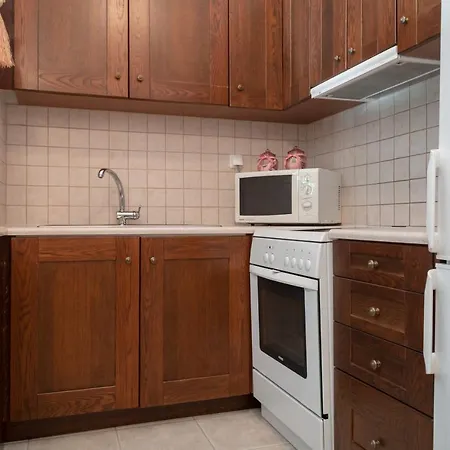 Begonia By The Sea 科罗皮