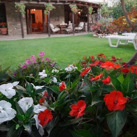 Begonia By The Sea 度假居 *