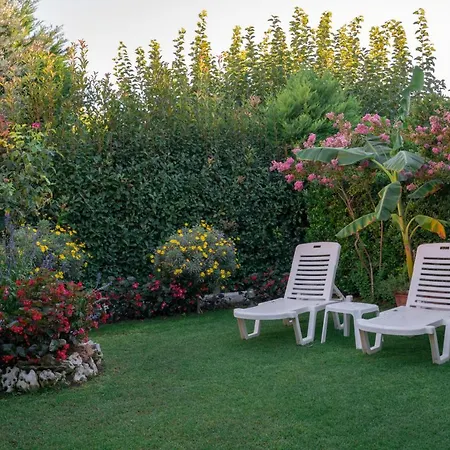 Begonia By The Sea 度假居 科罗皮