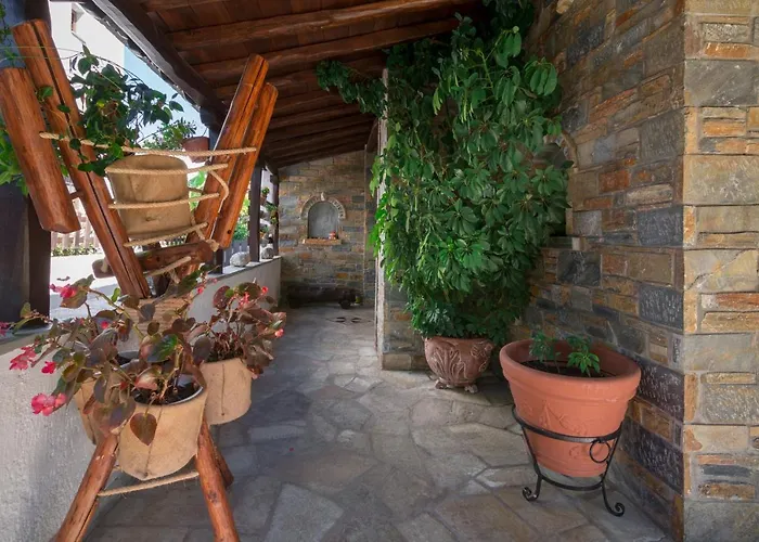 Begonia By The Sea Koropi