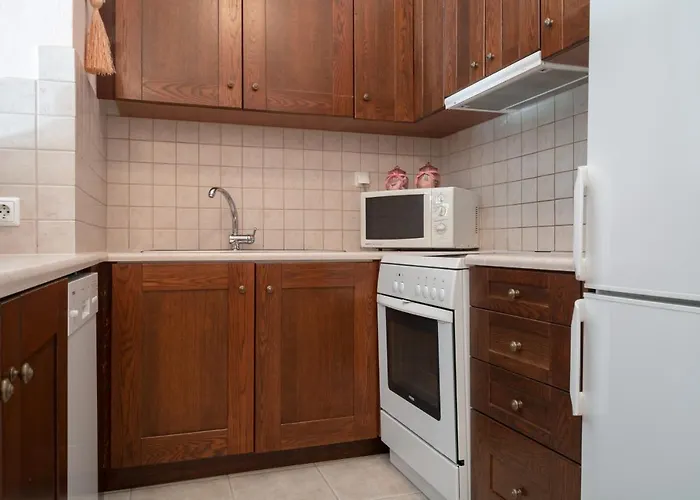 Begonia By The Sea Koropi