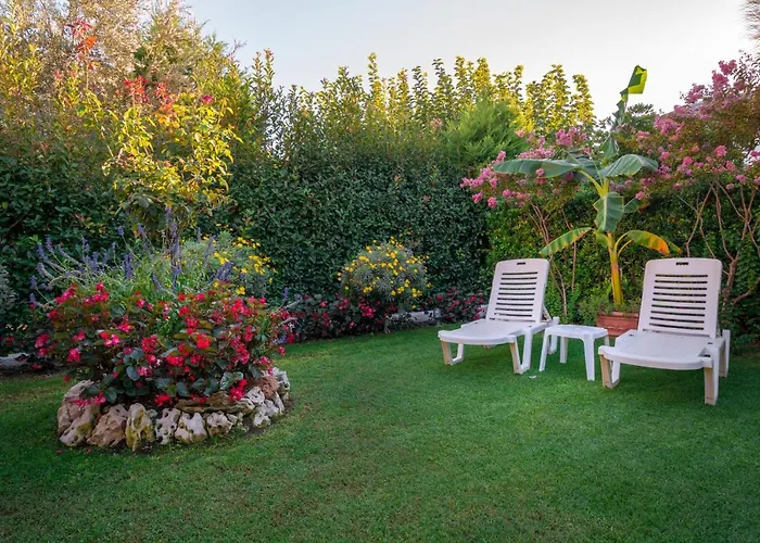 Casa de Férias Begonia By The Sea *