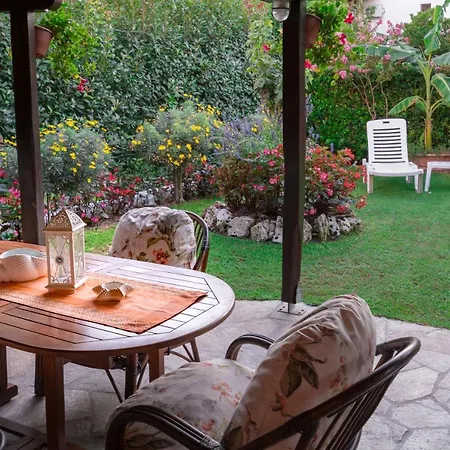 Semesterbostad Begonia By The Sea