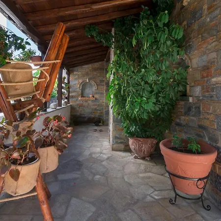 Begonia By The Sea Koropí